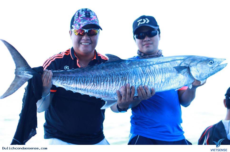 hành trình Côn Đảo trong mùa thấp điểm - Ảnh 3 hành trình Côn Đảo trong mùa thấp điểm - Ảnh 3