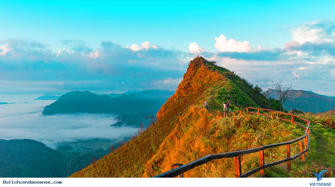 hành trình Côn Đảo trong mùa thấp điểm - Ảnh 1 hành trình Côn Đảo trong mùa thấp điểm - Ảnh 1