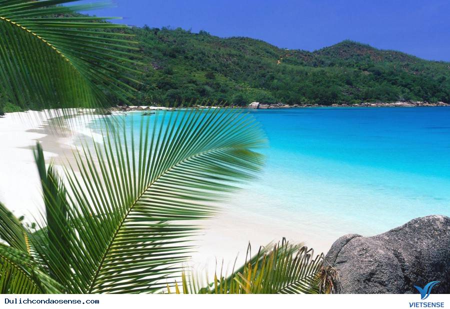 Duyên thầm của Côn Sơn Côn Đảo - Ảnh 1 Duyên thầm của Côn Sơn Côn Đảo - Ảnh 1