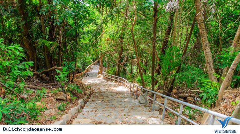 Duyên thầm của Côn Sơn Côn Đảo - Ảnh 3 Duyên thầm của Côn Sơn Côn Đảo - Ảnh 3