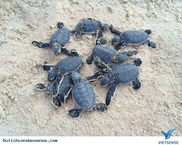 Có thể bạn chưa biết Có thể bạn chưa biết