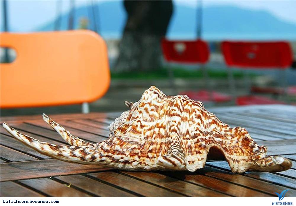 Giá trị đa dạng sinh học - Ảnh 1