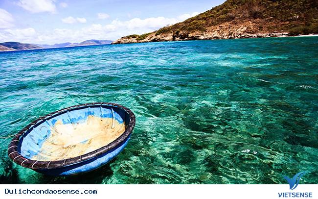 Giới thiệu chung Giới thiệu chung