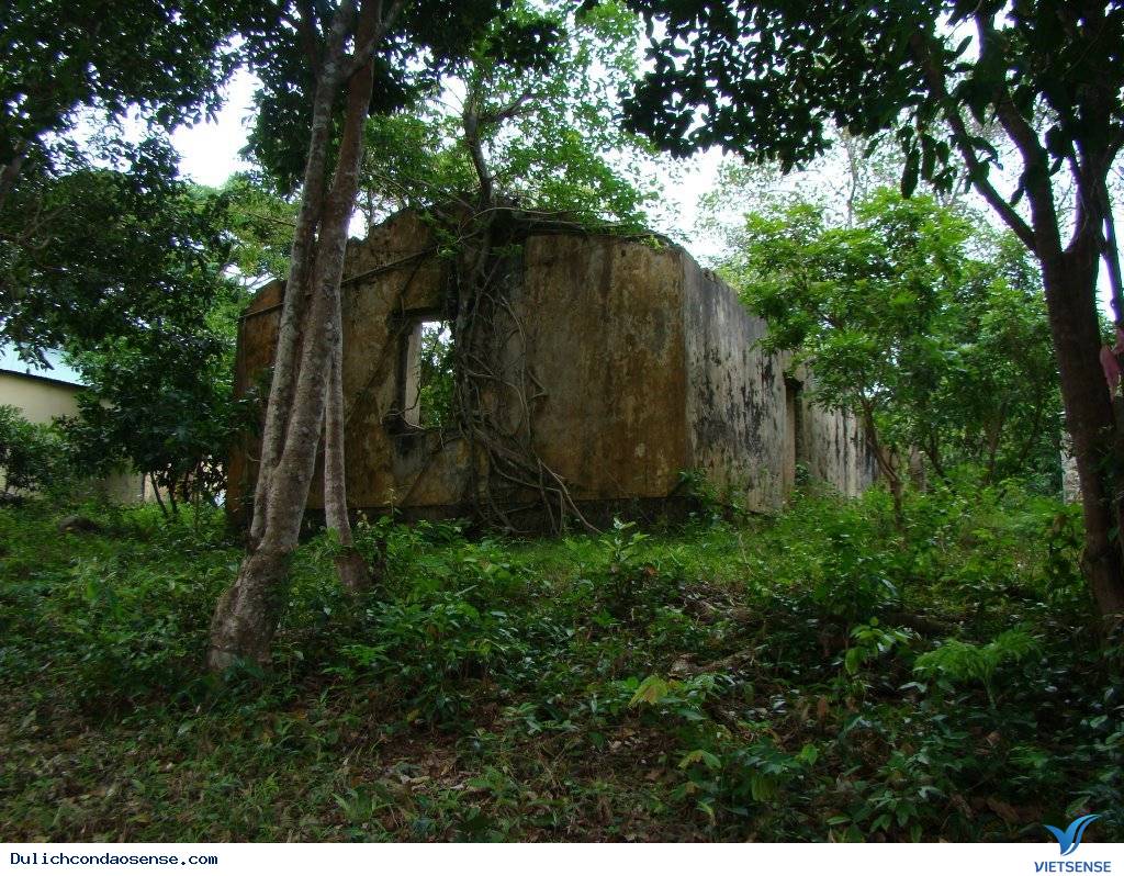 Giới thiệu chung