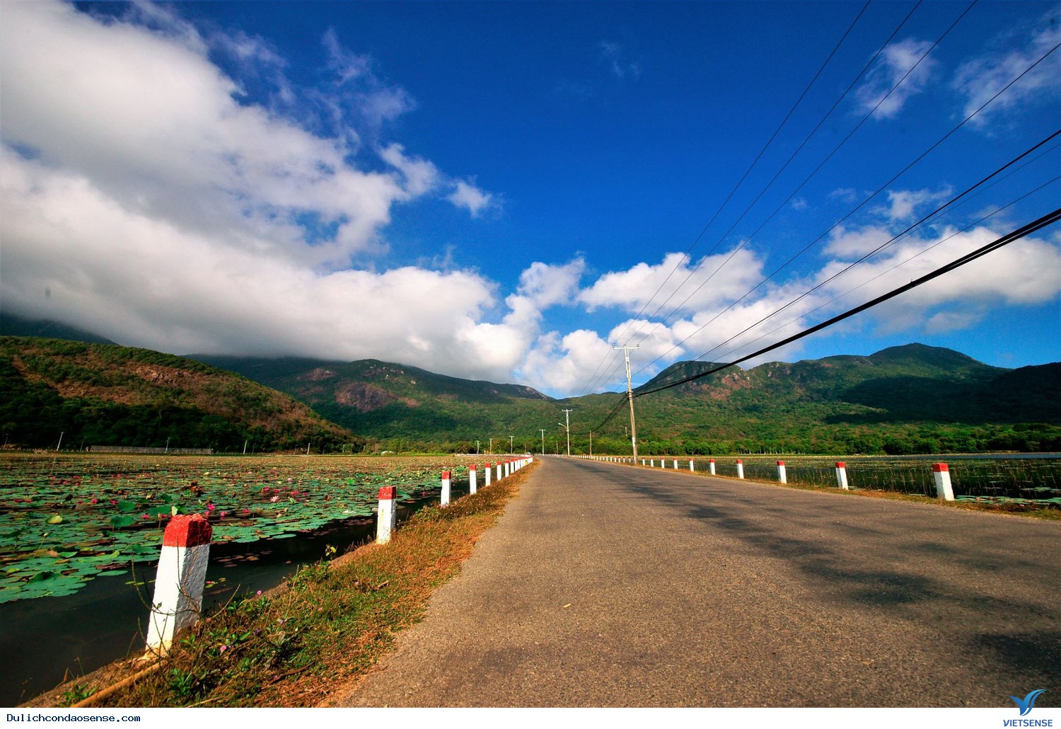 Giới thiệu chung