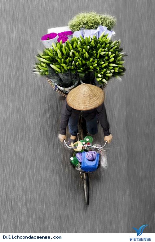 Góc nhìn tuyệt đẹp của các xe hàng rong Hà Nội