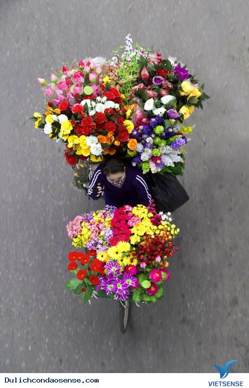 Góc nhìn tuyệt đẹp của các xe hàng rong Hà Nội