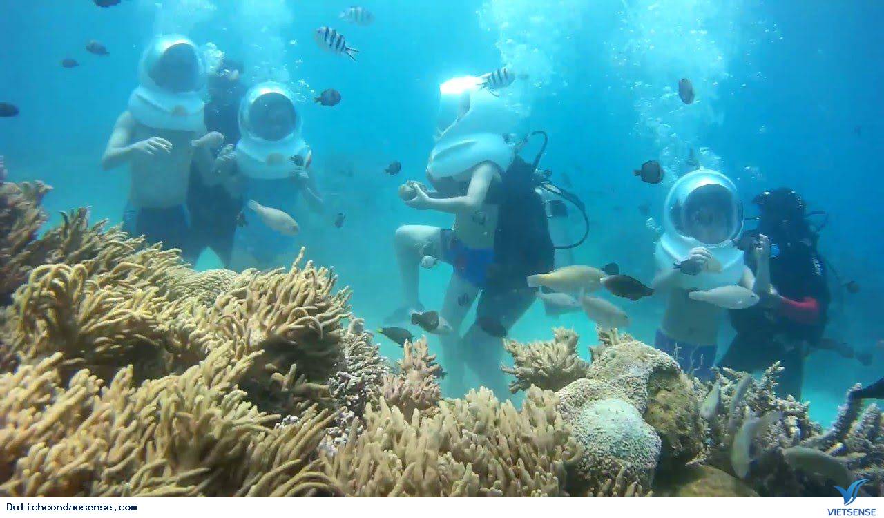 Hệ sinh thái độc đáo