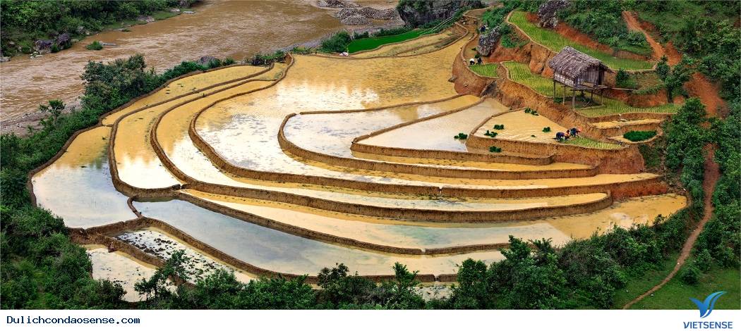 Hình ảnh ruộng bậc thang tuyệt đẹp với muôn vàn mầu sắc