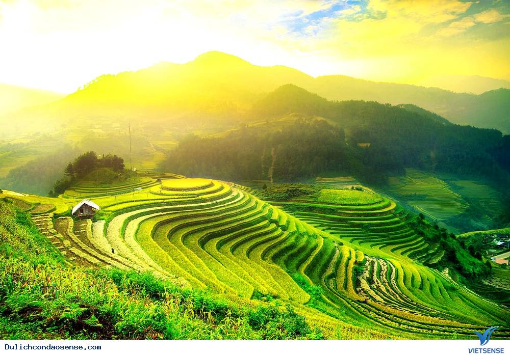 Hình ảnh ruộng bậc thang tuyệt đẹp với muôn vàn mầu sắc