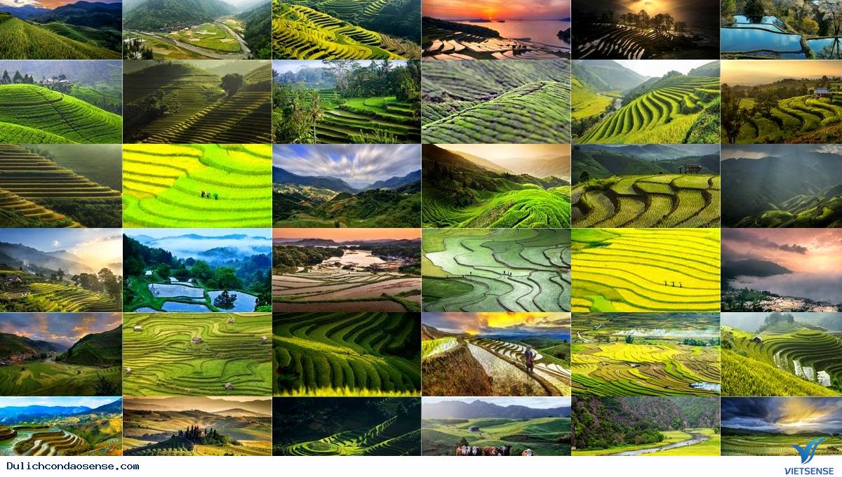 Hình ảnh ruộng bậc thang tuyệt đẹp với muôn vàn mầu sắc