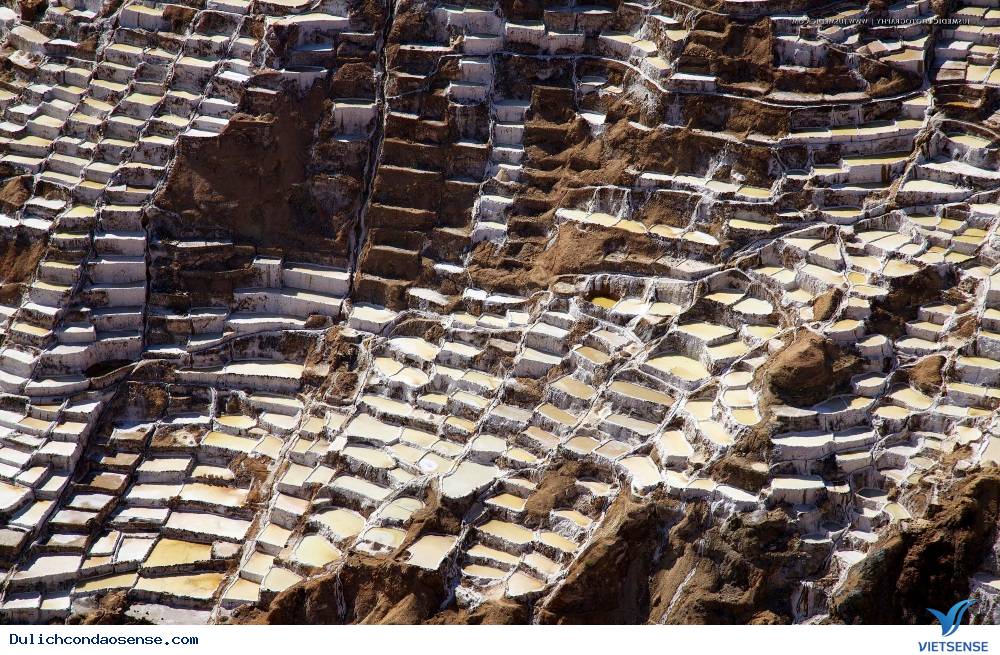 Hình ảnh ruộng bậc thang tuyệt đẹp với muôn vàn mầu sắc