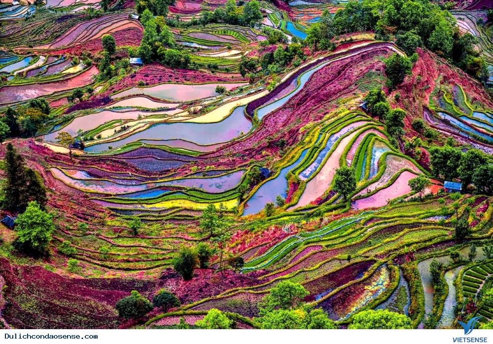Hình ảnh ruộng bậc thang tuyệt đẹp với muôn vàn mầu sắc
