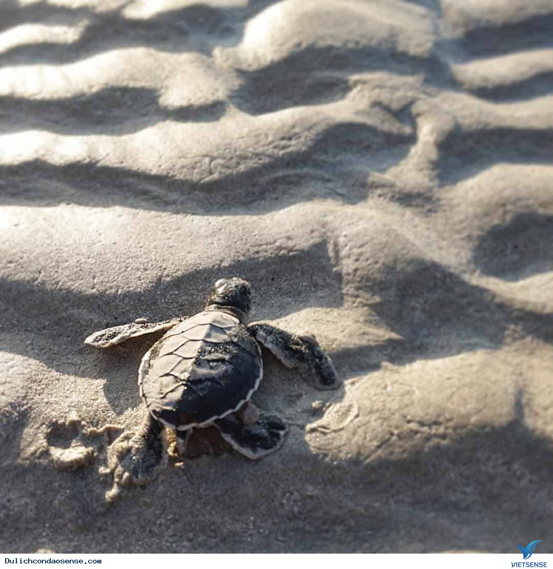 Hòn Bảy Cạnh - Ảnh 2