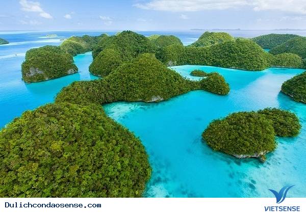 Hòn Tài Côn Đảo