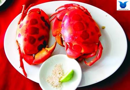 Khám Phá Những Loài Cua Độc Đáo Tại Côn Đảo - Ảnh 5