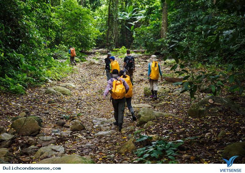 Khám phá Sở Rẫy - Ảnh 3