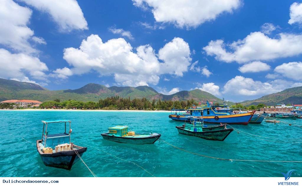 Làm gì tại Hòn Cau - Ảnh 2 Làm gì tại Hòn Cau - Ảnh 2