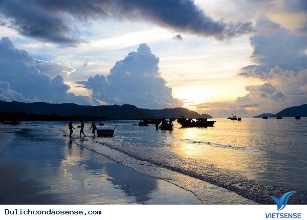 Làm gì trên Bãi Đầm Trầu - Ảnh 1 Làm gì trên Bãi Đầm Trầu - Ảnh 1