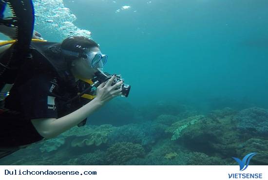 Lặn & Đi thuyền Lặn & Đi thuyền