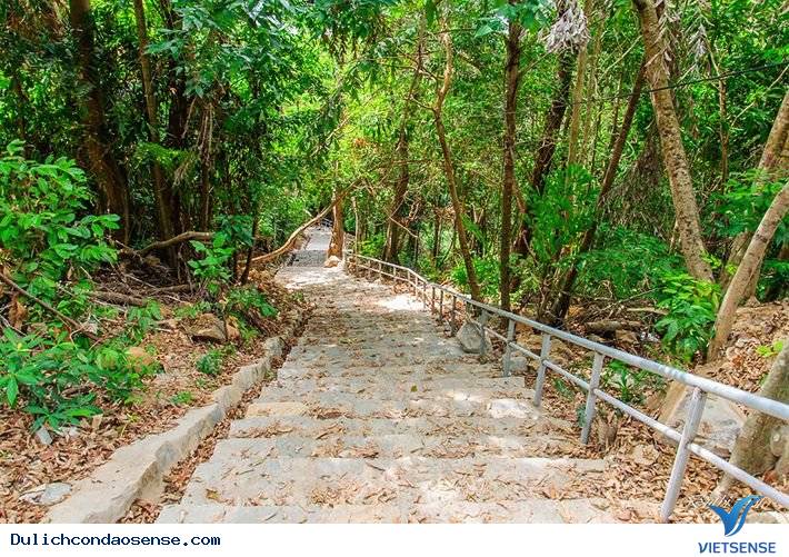 Lịch sử về cầu