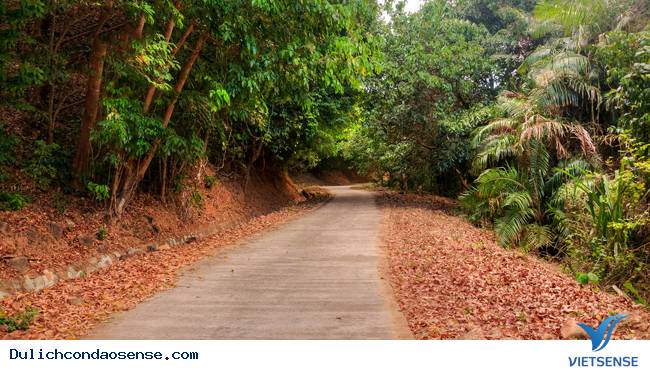 Khám phá bãi Ông Đụng - Ảnh 2 Khám phá bãi Ông Đụng - Ảnh 2