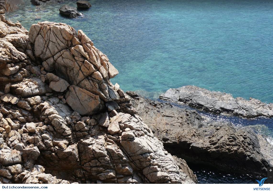 Mũi Chim Chim kỳ diệu như thế nào ?