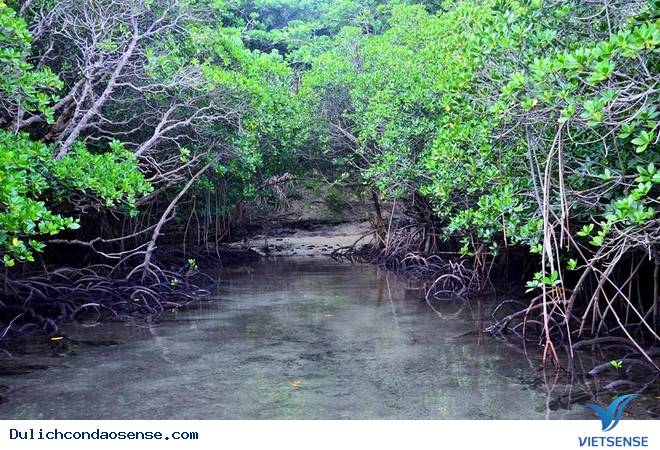 Nhật ký phượt Côn Đảo của 1 nữ phượt thủ