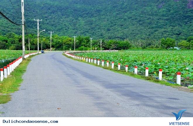 Nhật ký phượt Côn Đảo của 1 nữ phượt thủ