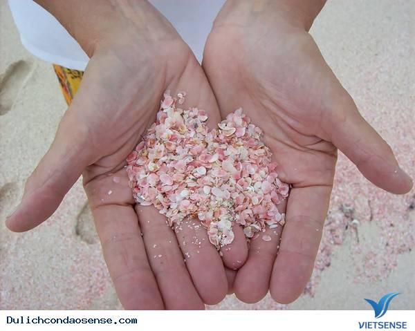 Những bãi biển đẹp và độc nhất trên thế giới phần 2 Những bãi biển đẹp và độc nhất trên thế giới phần 2