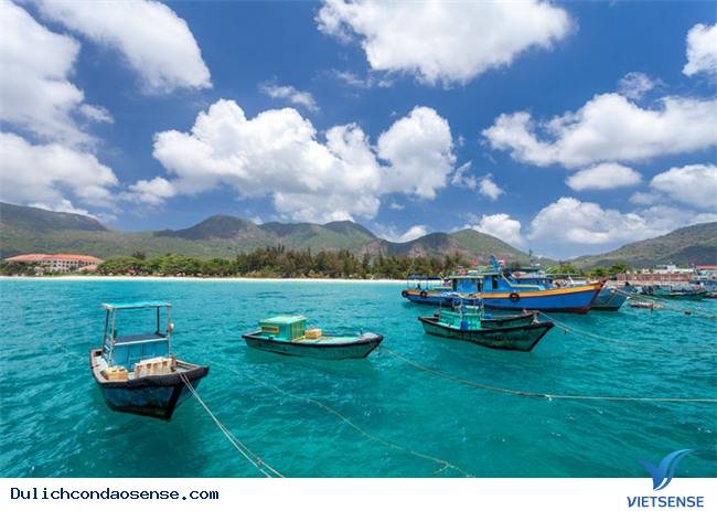 Những bãi biển trong xanh chỉ có ở Côn Đảo - Ảnh 2