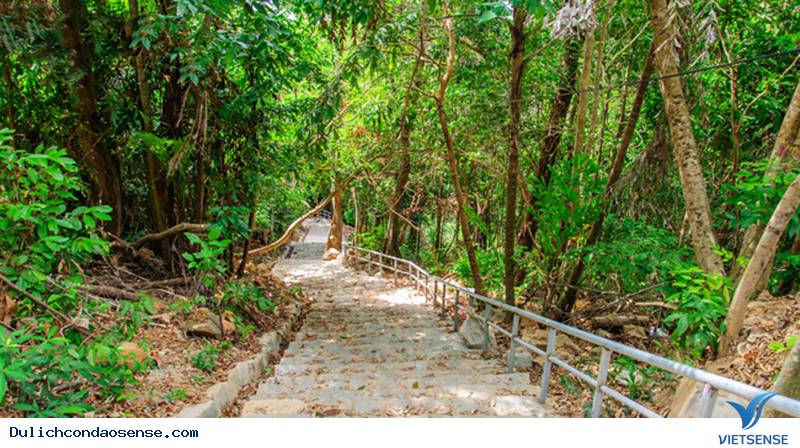 Những Điểm Check-in Tuyệt Đẹp Ở Côn Đảo - Ảnh 7