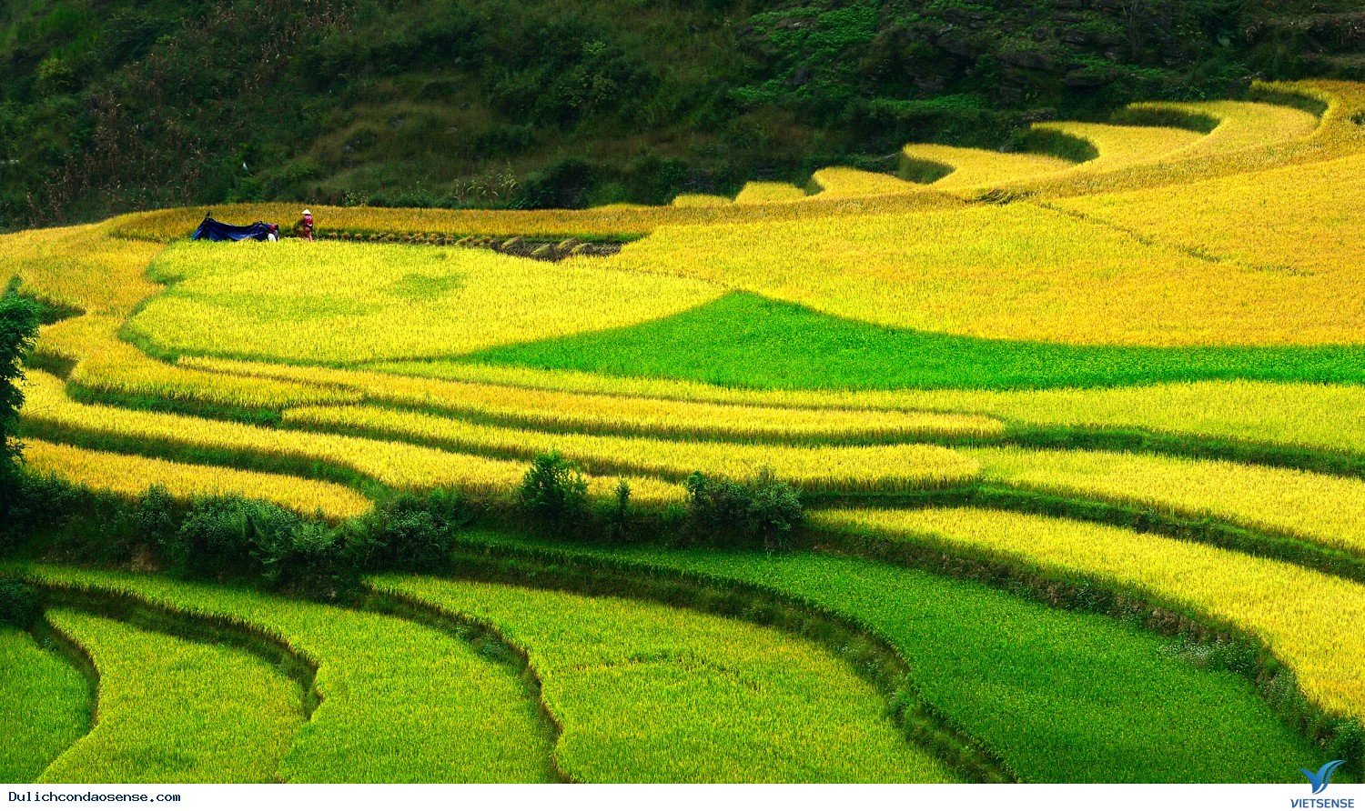 trải nghiệm dịp lễ (hà giang)