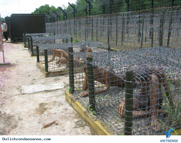 Nhà tù Côn Đảo Nhà tù Côn Đảo