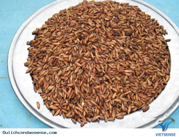 Ngày 3: Vườn Quốc gia Côn Đảo - Miếu Bà Phi Yến - Chùa Núi Một - Bãi Nhát - Ảnh 2 Ngày 3: Vườn Quốc gia Côn Đảo - Miếu Bà Phi Yến - Chùa Núi Một - Bãi Nhát - Ảnh 2