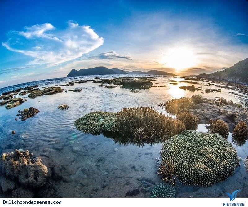 Những hòn đảo quyến rũ nhất ở Côn Đảo - Ảnh 4