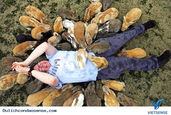 10 Hòn Đảo Thiên Đường cho động vật trên thế giới 10 Hòn Đảo Thiên Đường cho động vật trên thế giới