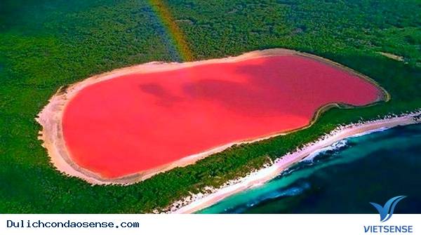 Những kỳ quan kỳ thú trên thế giới