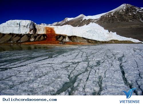 Những kỳ quan kỳ thú trên thế giới