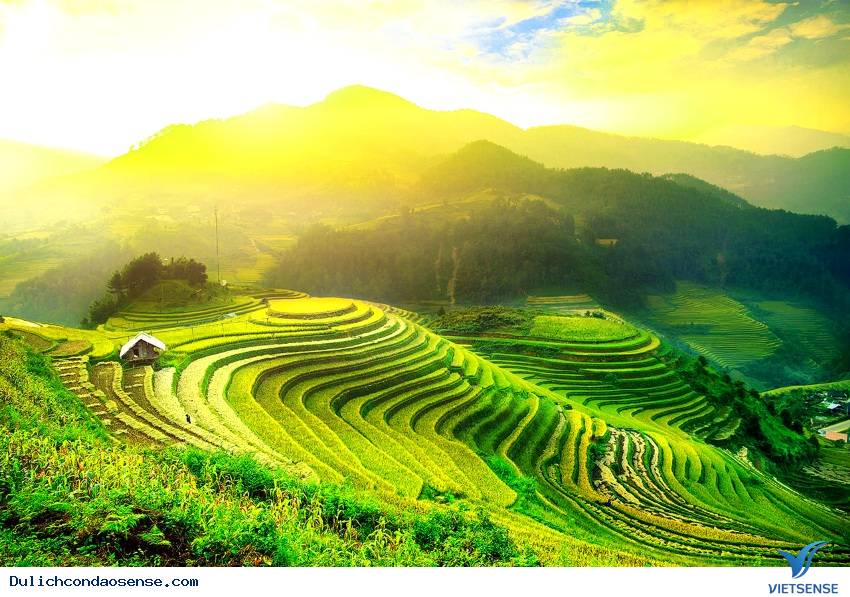 Những lý do tuyệt vời để bạn hành trình vào tháng 8 - Ảnh 5