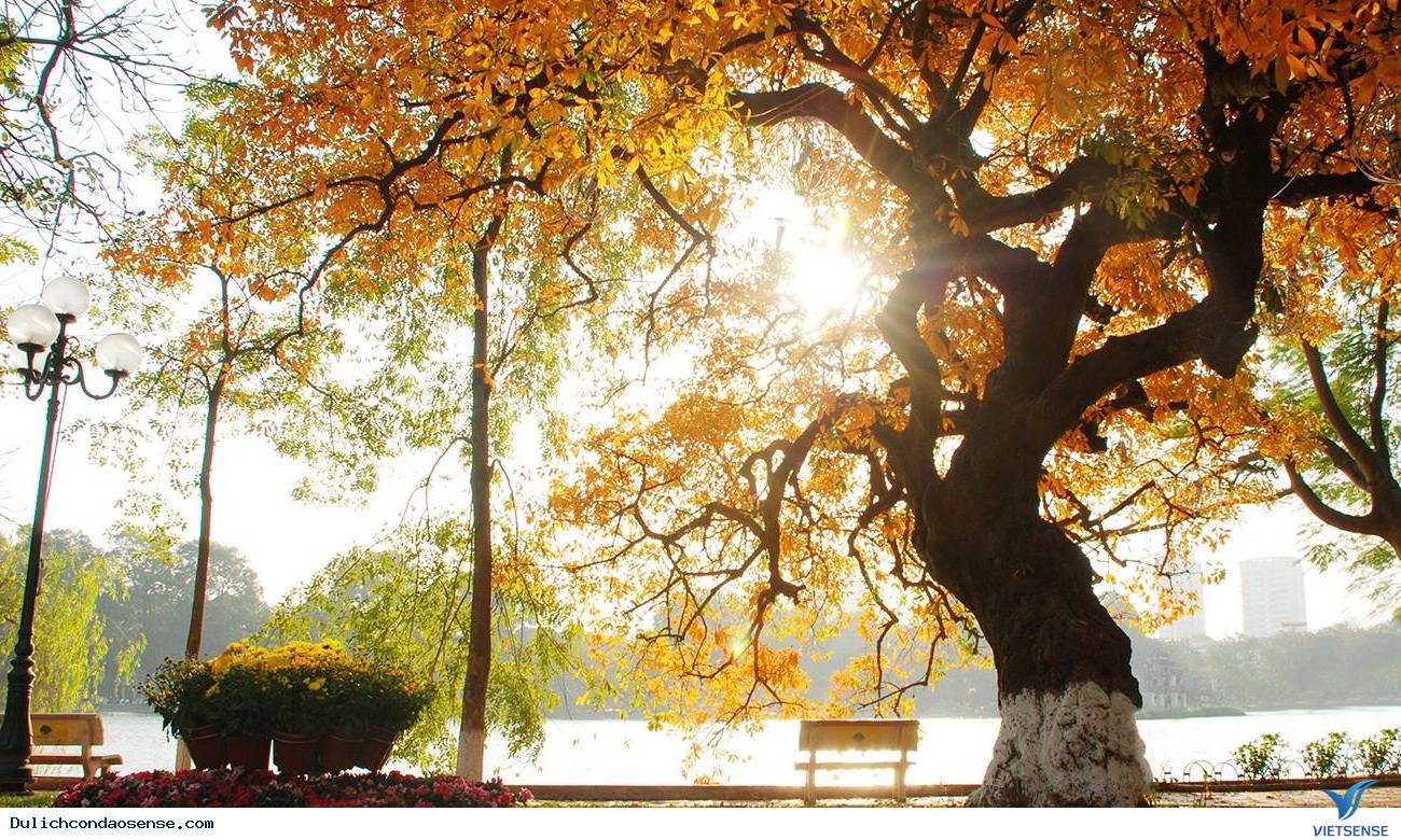 Những lý do tuyệt vời để bạn hành trình vào tháng 8 - Ảnh 4