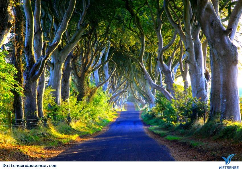 Những nơi đẹp như trong cổ tích trên thế giới phần 2