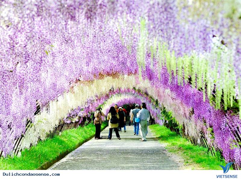 Những nơi đẹp như trong cổ tích trên thế giới