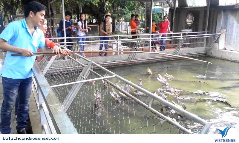 Những chương trình độc lạ hút khách Tây ở Việt Nam - Ảnh 2