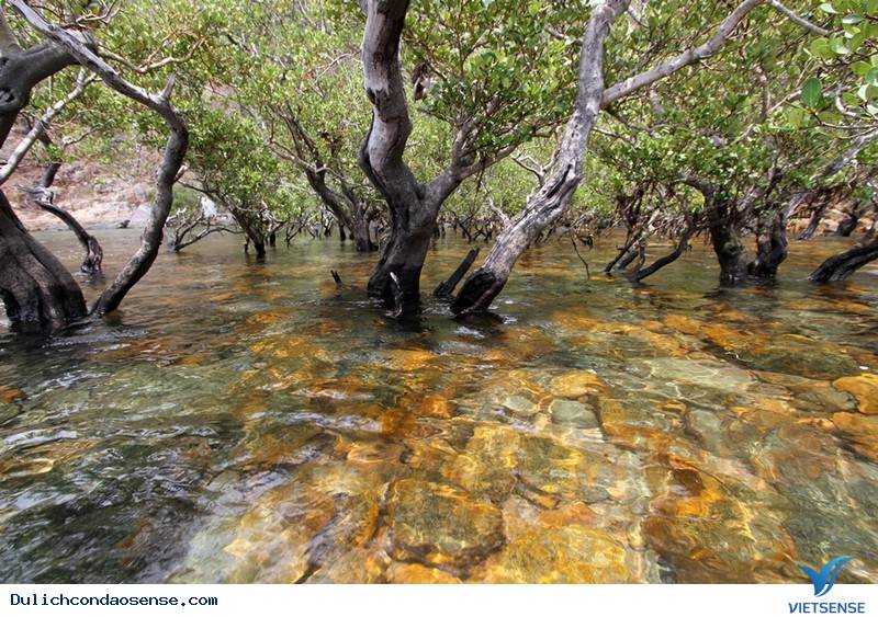 Những Trải Nghiệm Ấn Tượng Nhất Cho Người Lần Đầu Đến Với Côn Đảo - Ảnh 7