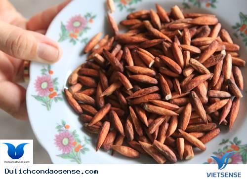 Thưởng thức hạt bàng rang