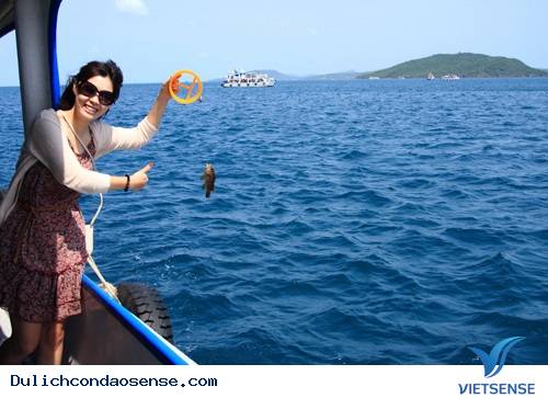 du lịch côn đảo, câu cá biển đông