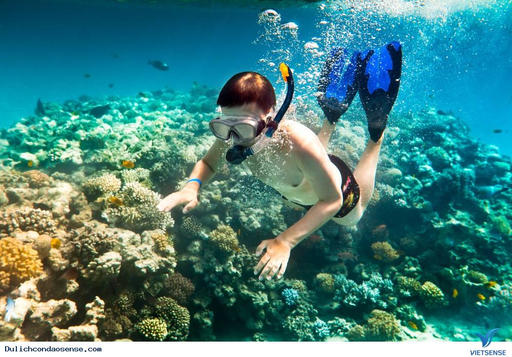 du lịch côn đảo, lặn biển ngăm san hô