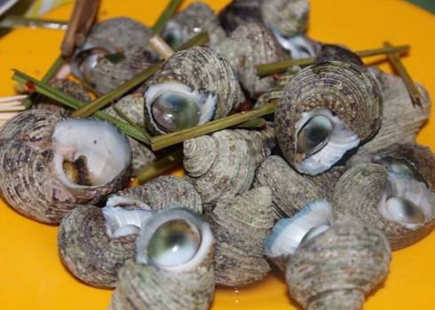 Ốc Ngọt Côn Đảo - Ảnh 1