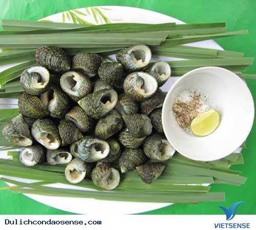 Ốc Ngọt Côn Đảo - Ảnh 2